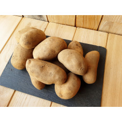 Pommes de terre de...