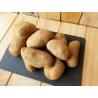 Pommes de terre de Saint-Malo - 1kg